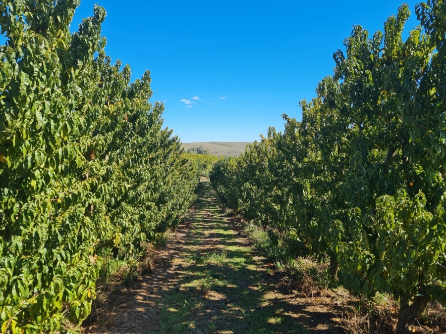 Commercial Property for Sale in Montagu Rural Western Cape